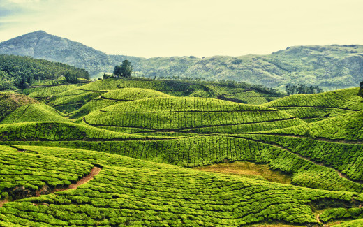 502857 (a): :2560x1600